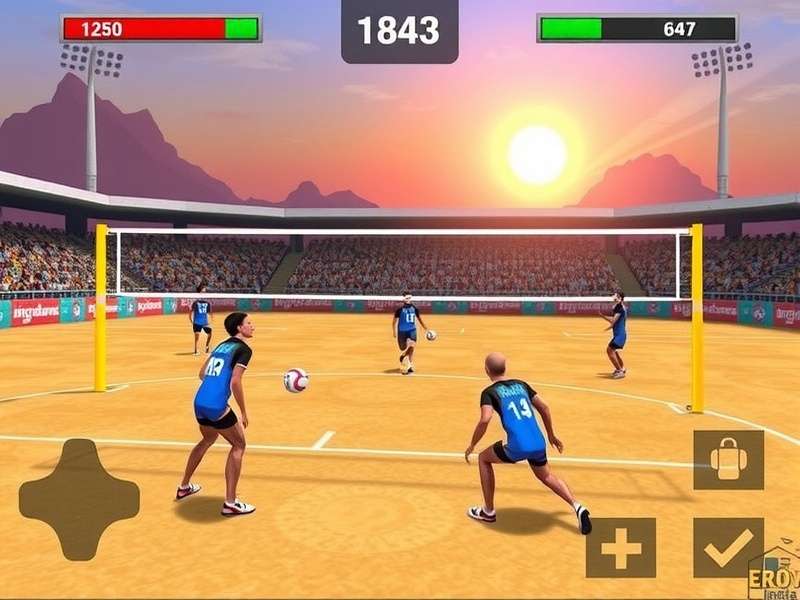 Volley Dream India Game Screenshot